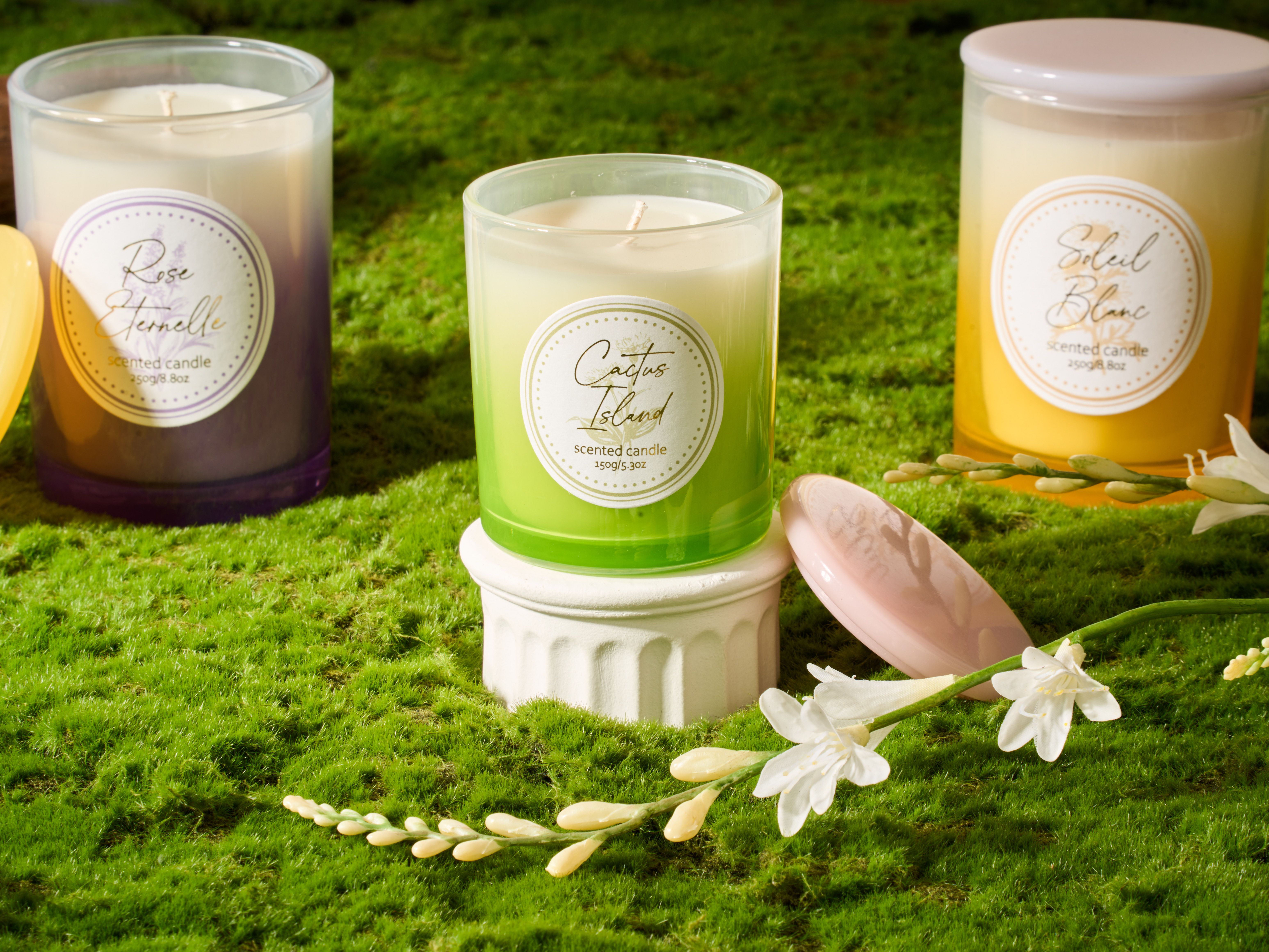 مجموعة الحديقة البرية