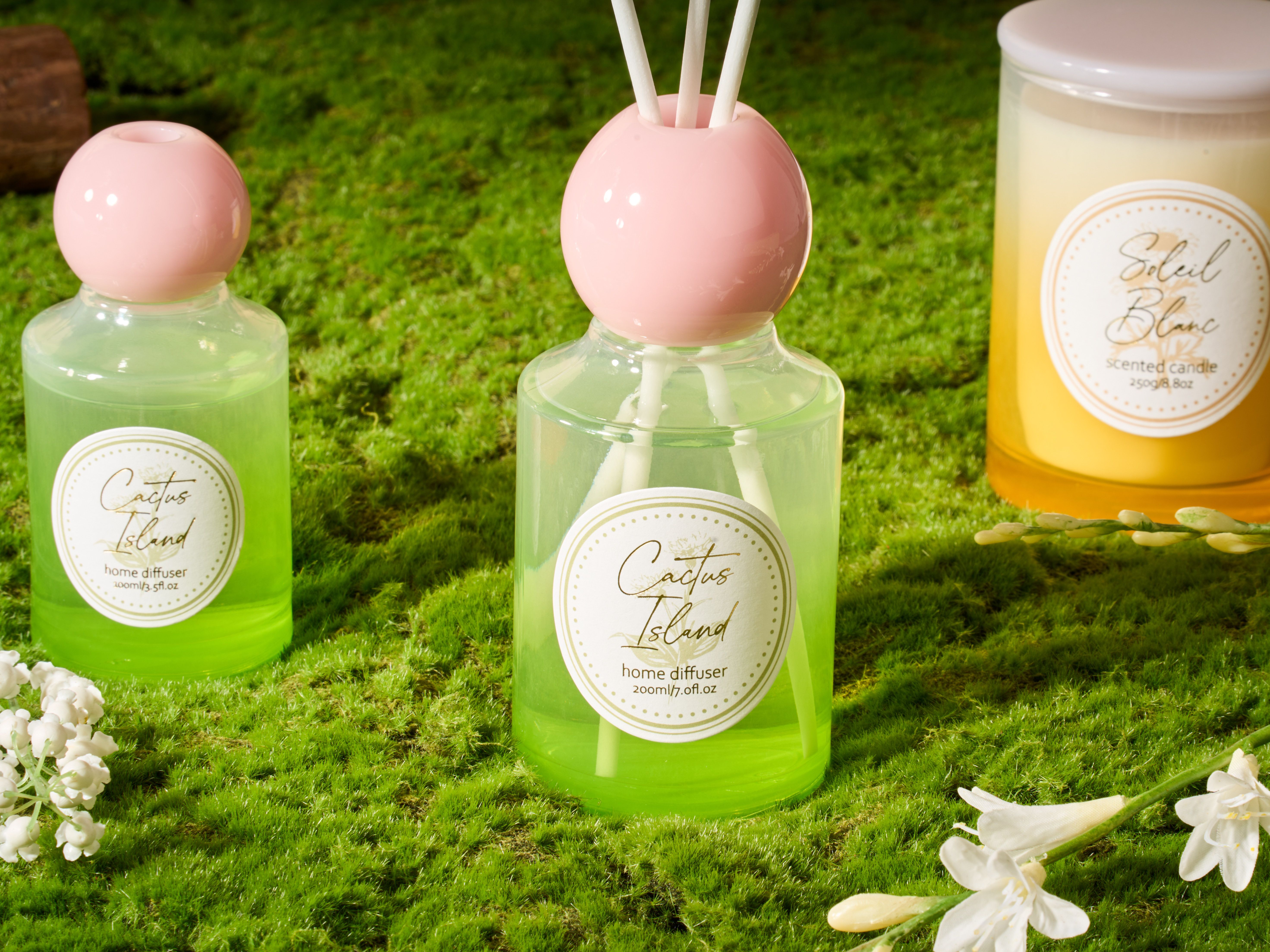 مجموعة الحديقة البرية